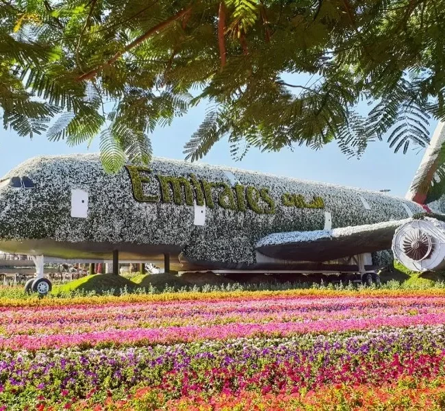 Dubai Miracle Garden